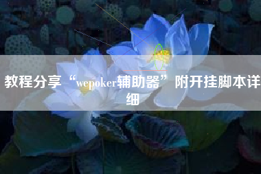 教程分享“wepoker辅助器”附开挂脚本详细
