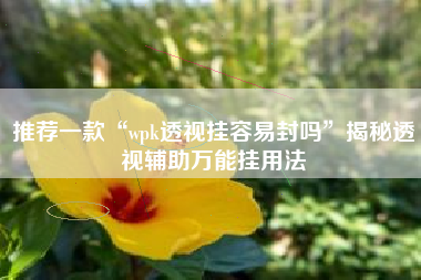 推荐一款“wpk透视挂容易封吗	”揭秘透视辅助万能挂用法