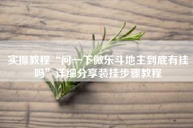 实操教程“问一下微乐斗地主到底有挂吗”详细分享装挂步骤教程