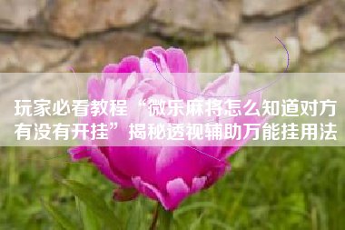 玩家必看教程“微乐麻将怎么知道对方有没有开挂”揭秘透视辅助万能挂用法