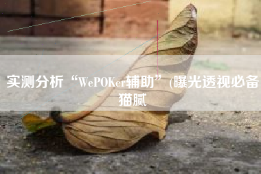 实测分析“WePOKer辅助	”(曝光透视必备猫腻