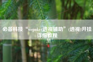 必备科技“wepoker透视辅助”(透视)开挂详细教程