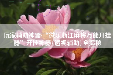 玩家辅助神器:“微乐浙江麻将万能开挂器”开挂神器{透视辅助}全揭秘