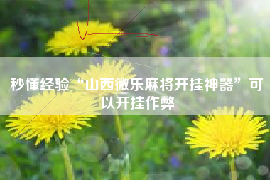 秒懂经验“山西微乐麻将开挂神器”可以开挂作弊