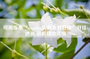 可用版本“wepoker如何拿到好牌”开挂(透视)最新辅助详细
