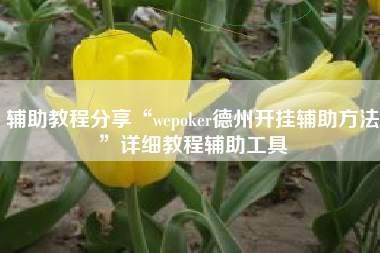 辅助教程分享“wepoker德州开挂辅助方法	”详细教程辅助工具
