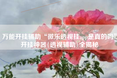 万能开挂辅助“微乐透视挂app是真的吗”开挂神器{透视辅助}全揭秘