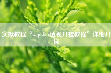 实操教程“wepoker透视开挂教程”详细开挂