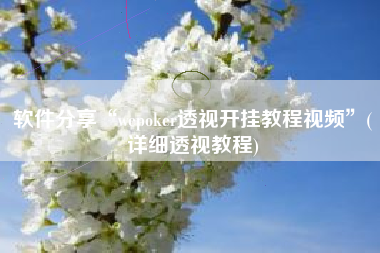 软件分享“wepoker透视开挂教程视频”(详细透视教程)