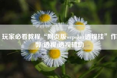 玩家必看教程“网页版wepoker透视挂”作弊(透视)透视辅助