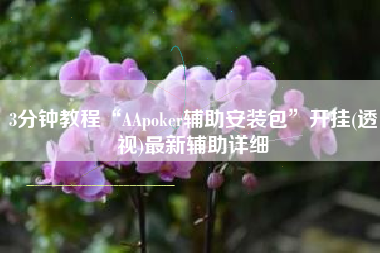 3分钟教程“AApoker辅助安装包”开挂(透视)最新辅助详细