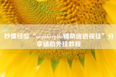 秒懂经验“wepokerplus辅助器透视挂”分享辅助外挂教程