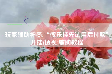 玩家辅助神器:“微乐挂先试用后付款	”开挂(透视)辅助教程
