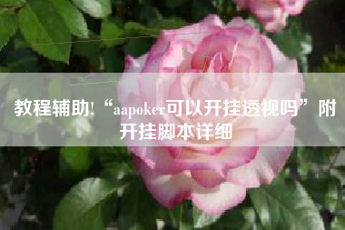 教程辅助!“aapoker可以开挂透视吗”附开挂脚本详细