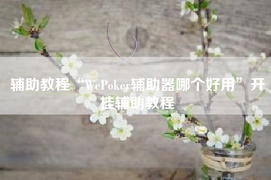 辅助教程“WePoker辅助器哪个好用”开挂辅助教程