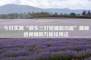 今日实测“微乐三打哈辅助功能”揭秘透视辅助万能挂用法