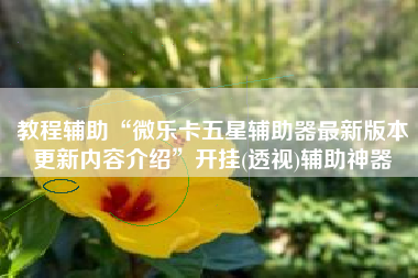 教程辅助“微乐卡五星辅助器最新版本更新内容介绍”开挂(透视)辅助神器