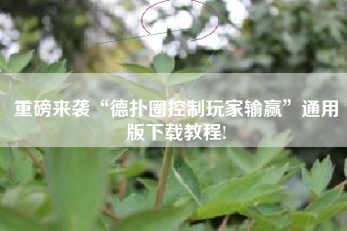 重磅来袭“德扑圈控制玩家输赢”通用版下载教程!
