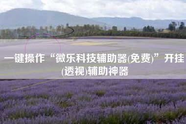 一键操作“微乐科技辅助器(免费)”开挂(透视)辅助神器