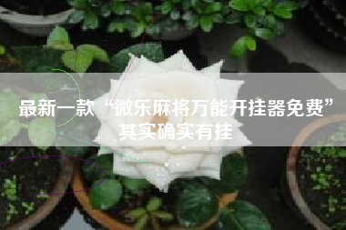 最新一款“微乐麻将万能开挂器免费	”其实确实有挂