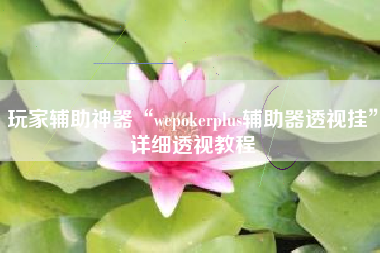 玩家辅助神器“wepokerplus辅助器透视挂”详细透视教程