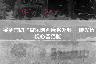 实测辅助“微乐陕西麻将外卦”(曝光透视必备猫腻)