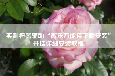 实测神器辅助“微乐万能挂下载安装”开挂详细安装教程