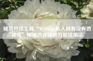辅助开挂工具“WePoKer私人局有没有透视挂”揭秘透视辅助万能挂用法