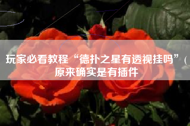 玩家必看教程“德扑之星有透视挂吗”(原来确实是有插件