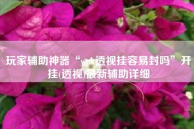 玩家辅助神器“wpk透视挂容易封吗	”开挂(透视)最新辅助详细