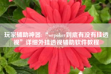 玩家辅助神器:“wepoker到底有没有挂透视	”详细外挂透视辅助软件教程