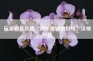 玩家必备攻略“微扑克辅助封号	”详细开挂