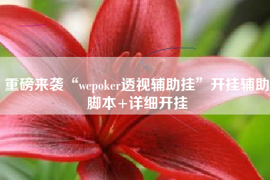 重磅来袭“wepoker透视辅助挂	”开挂辅助脚本+详细开挂