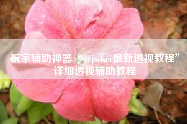 玩家辅助神器“wepoKer最新透视教程”详细透视辅助教程