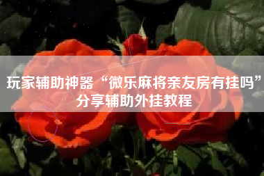 玩家辅助神器“微乐麻将亲友房有挂吗	”分享辅助外挂教程