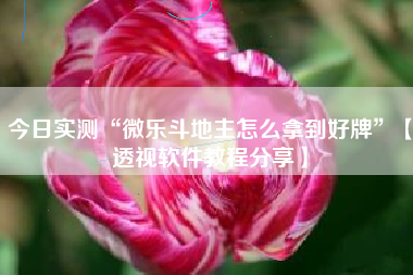 今日实测“微乐斗地主怎么拿到好牌”【透视软件教程分享】