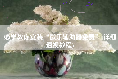 必学教你安装“微乐辅助器免费”(详细透视教程)