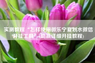 实测教程“怎样使用微乐宁夏划水微信开挂工具”(助赢详细开挂教程)