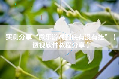 实测分享“微乐游戏到底有没有挂”【透视软件教程分享】