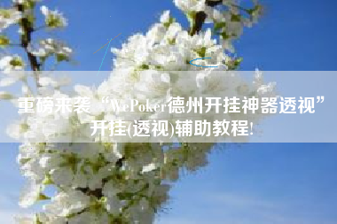 重磅来袭“WePoker德州开挂神器透视	”开挂(透视)辅助教程!