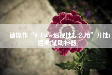 一键操作“WePoker透视挂怎么用	”开挂(透视)辅助神器