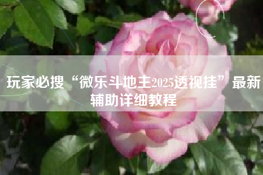 玩家必搜“微乐斗地主2025透视挂”最新辅助详细教程