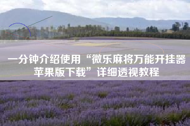 一分钟介绍使用“微乐麻将万能开挂器苹果版下载	”详细透视教程