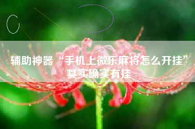 辅助神器“手机上微乐麻将怎么开挂”其实确实有挂