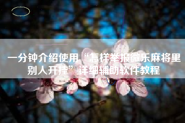 一分钟介绍使用“怎样举报微乐麻将里别人开挂”详细辅助软件教程