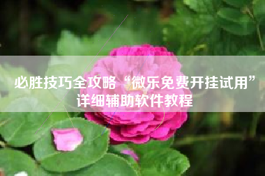 必胜技巧全攻略“微乐免费开挂试用	”详细辅助软件教程