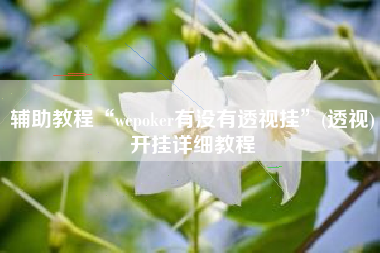 辅助教程“wepoker有没有透视挂	”(透视)开挂详细教程