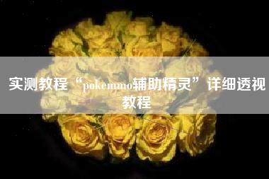 实测教程“pokemmo辅助精灵”详细透视教程