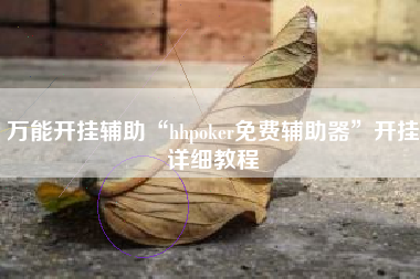 万能开挂辅助“hhpoker免费辅助器”开挂详细教程