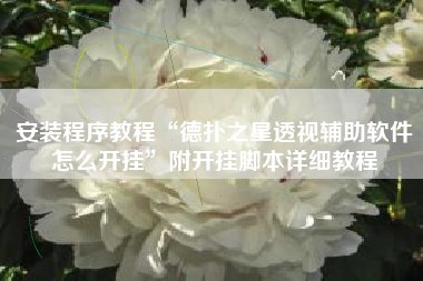 安装程序教程“德扑之星透视辅助软件怎么开挂	”附开挂脚本详细教程